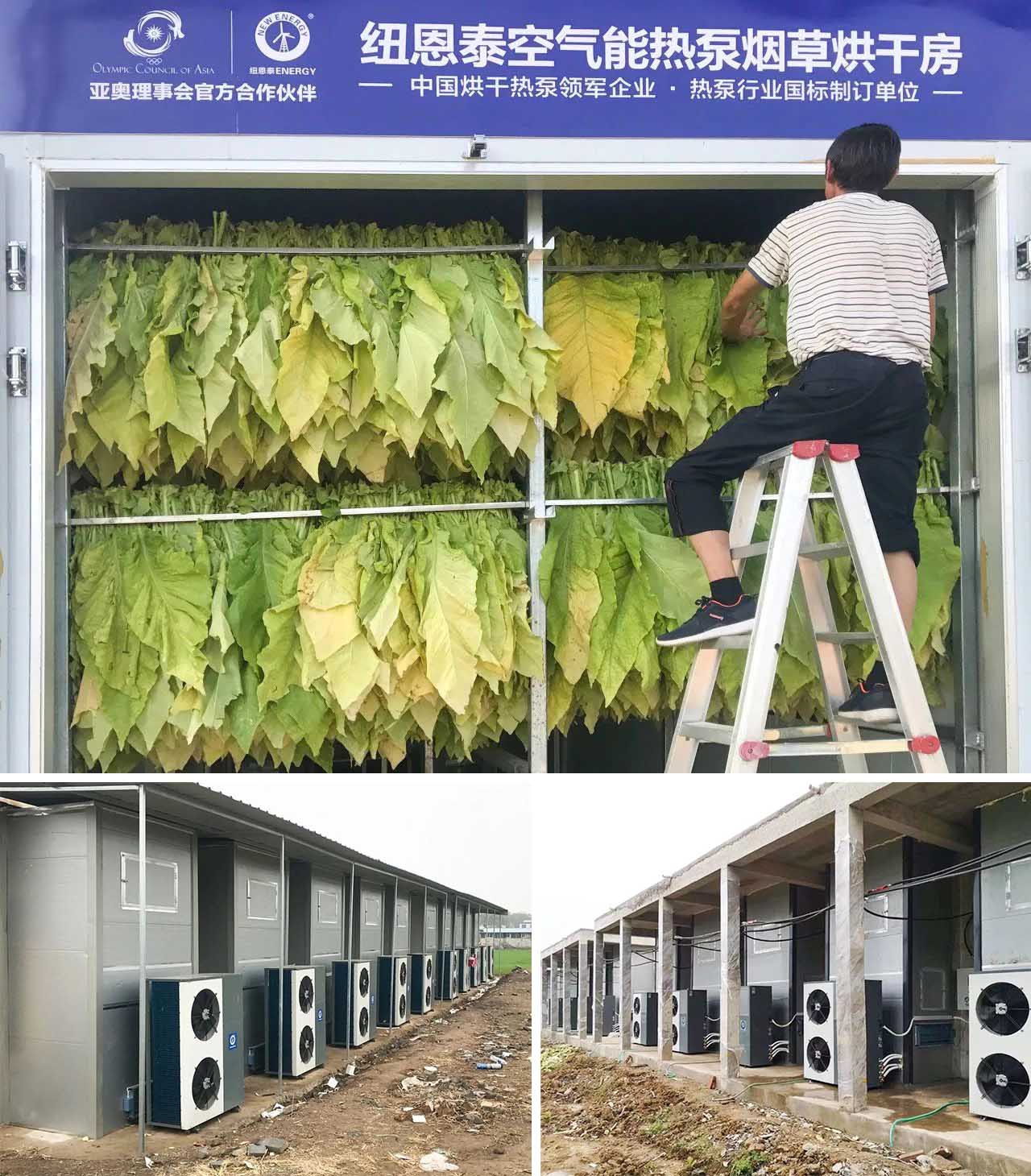 冠军国际网(中国游)官方网站