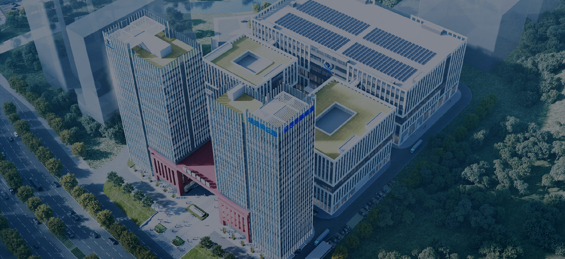 冠军国际网(中国游)官方网站