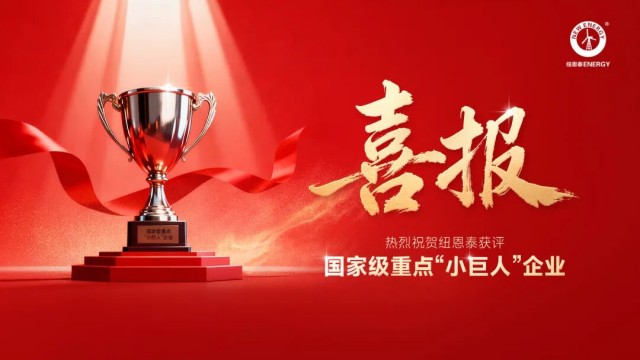 喜报！冠军国际网获评国家级重点“小巨人”企业声誉